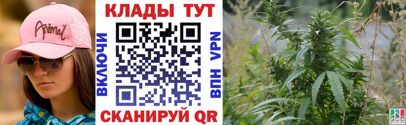 Магазины продажи наркотиков Дедовск ГАШ МДМА Alpha-PVP АМФ Меф Кокаин