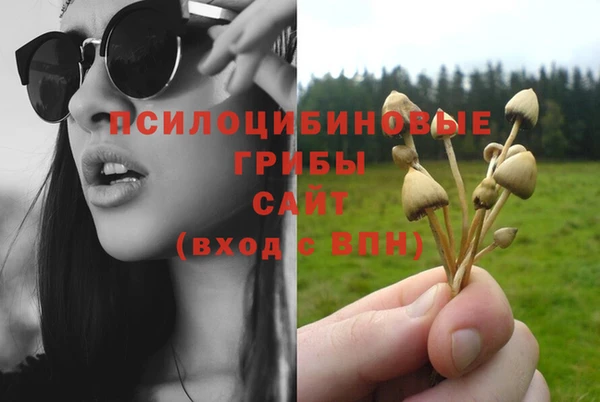соль курить ск Алзамай