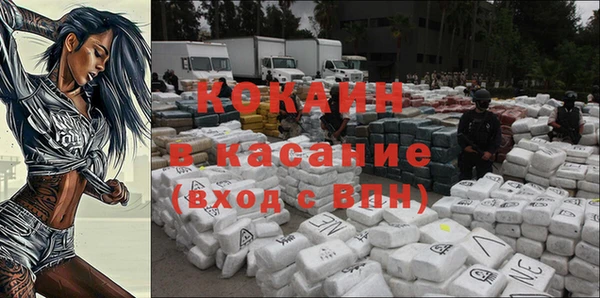 индика Алексеевка