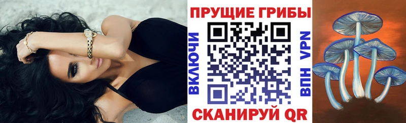 Галлюциногенные грибы Psilocybine cubensis  как найти   гидра ССЫЛКА  Дедовск 
