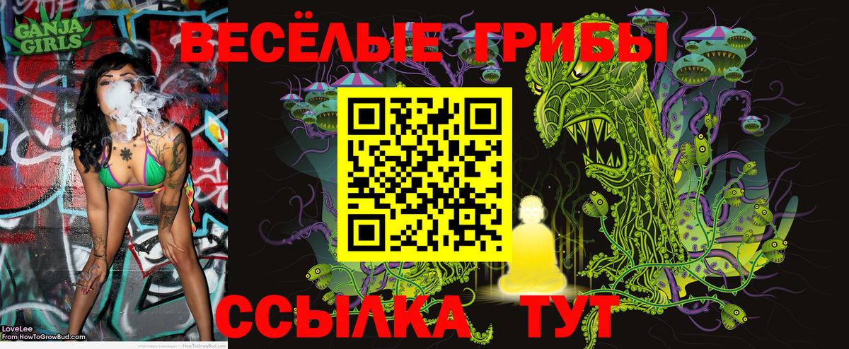 закладки  Вход с VPN  Дедовск  Галлюциногенные грибы прущие грибы 